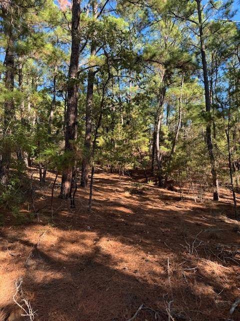 Lot 1395 Kaupa CT, Bastrop, TX 78602