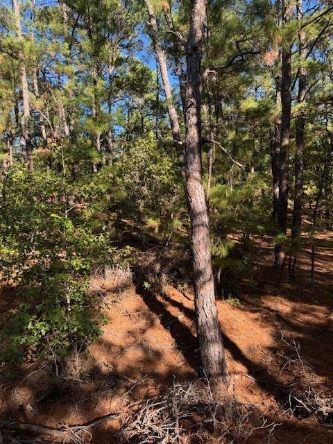 Lot 1395 Kaupa CT, Bastrop, TX 78602