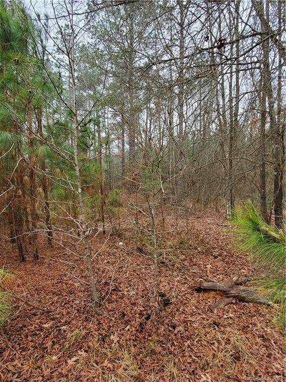 551 Country Pond RD, Chappells, SC 29037