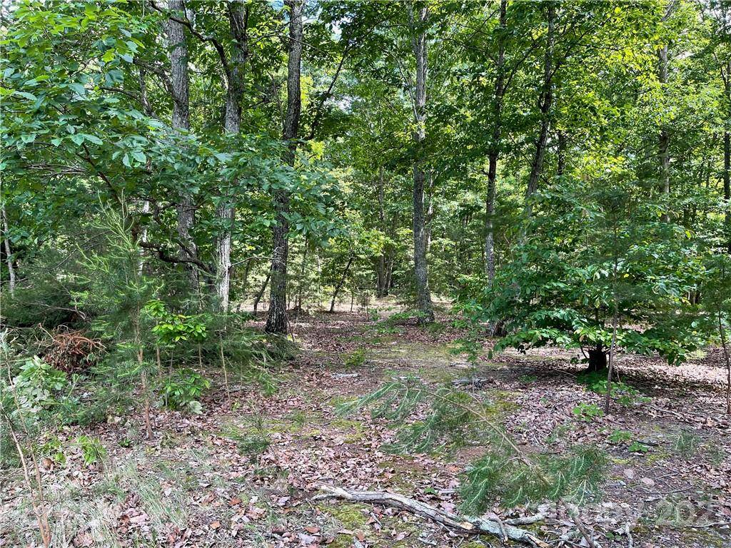 00 Howard LN #5, Taylorsville, NC 28681
