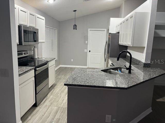 5513 TERRAIN DE GOLF DR, Lutz, FL 33558