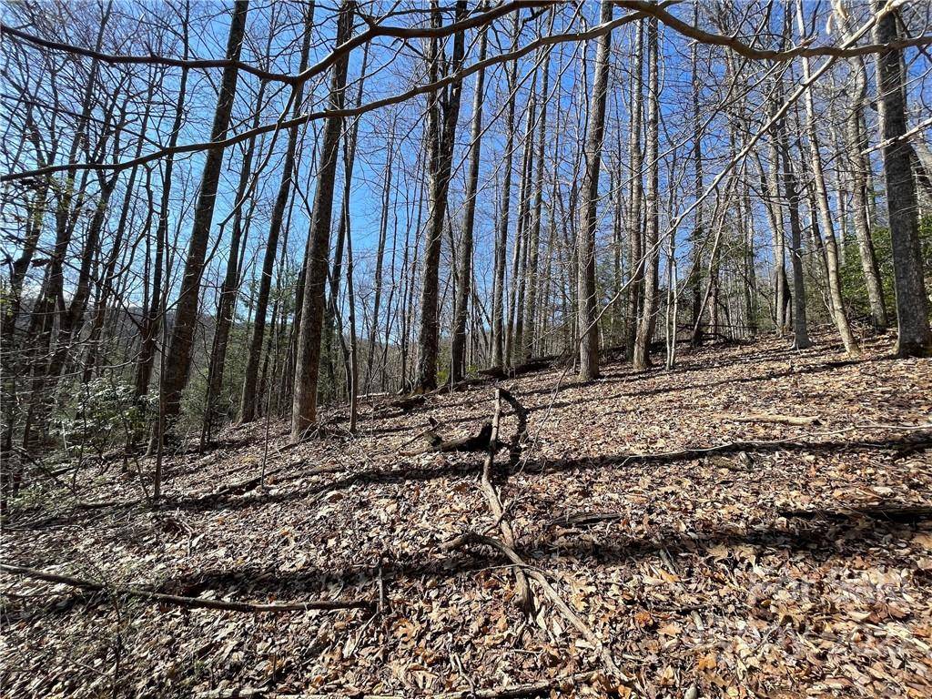 5.6 +/- Acres Cove RD #33B, Black Mountain, NC 28711