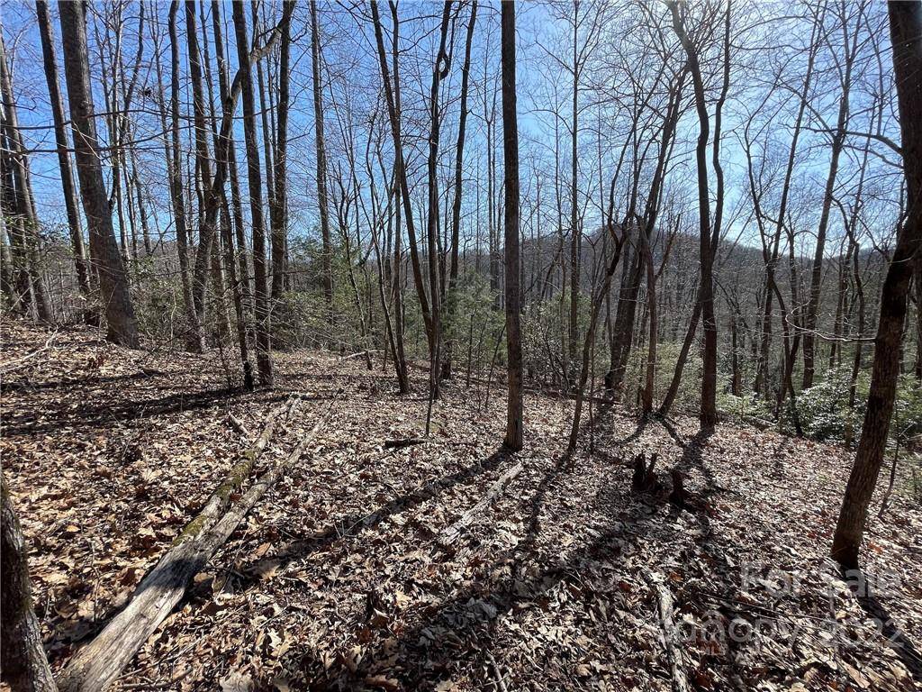5.6 +/- Acres Cove RD #33B, Black Mountain, NC 28711
