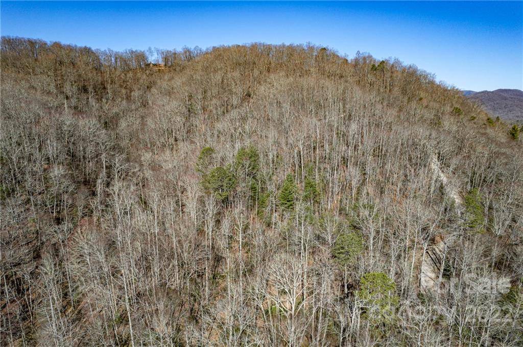 5.6 +/- Acres Cove RD #33B, Black Mountain, NC 28711