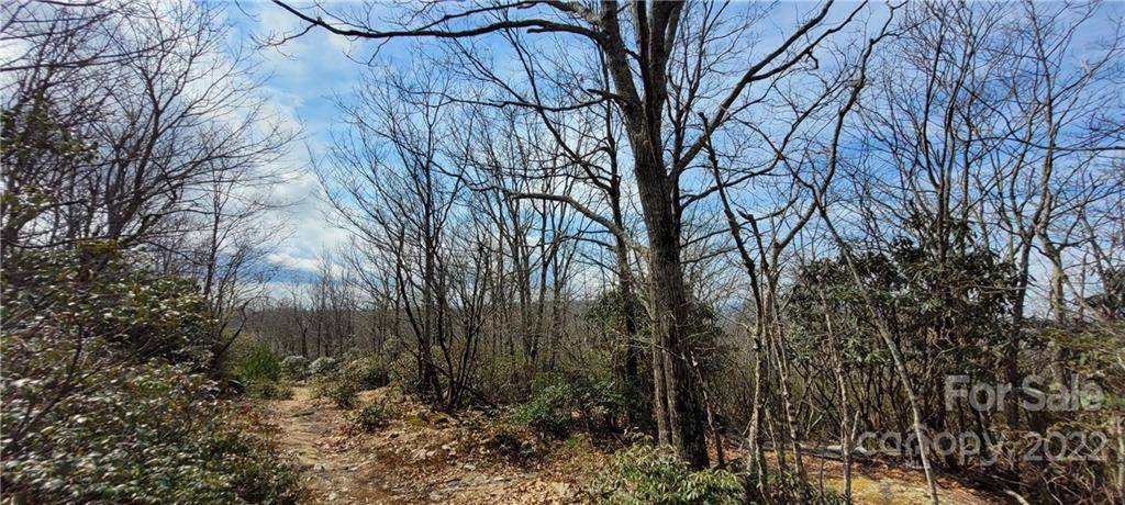 TBD Algonquin DR #49, Boone, NC 28607