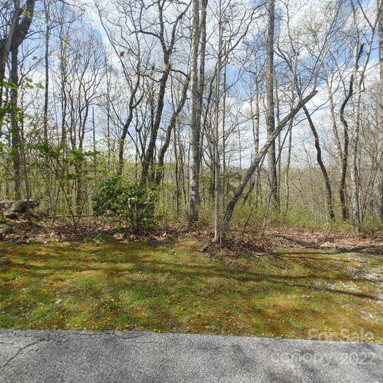 0000 Parkview LN #5, Cullowhee, NC 28723