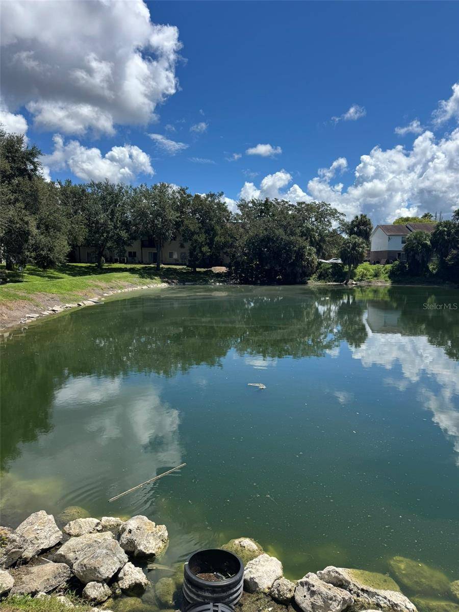 9004 SHALLOWFORD LN ##201, Port Richey, FL 34668