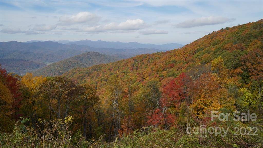 88 Holly Ridge RD, Candler, NC 28715