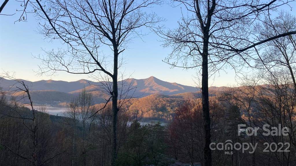 88 Holly Ridge RD, Candler, NC 28715
