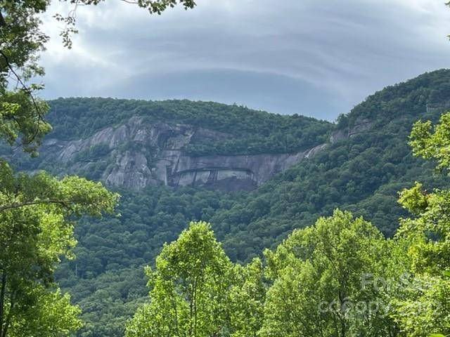 0000 Cascada Vista DR #2, Chimney Rock, NC 28720