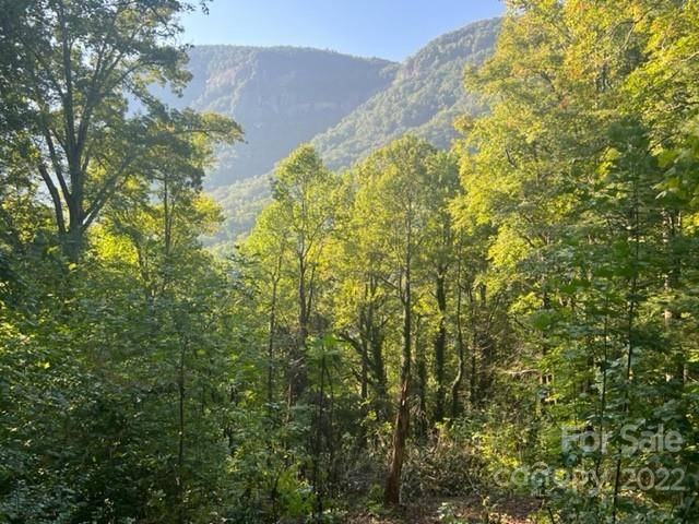 0000 Cascada Vista DR #2, Chimney Rock, NC 28720