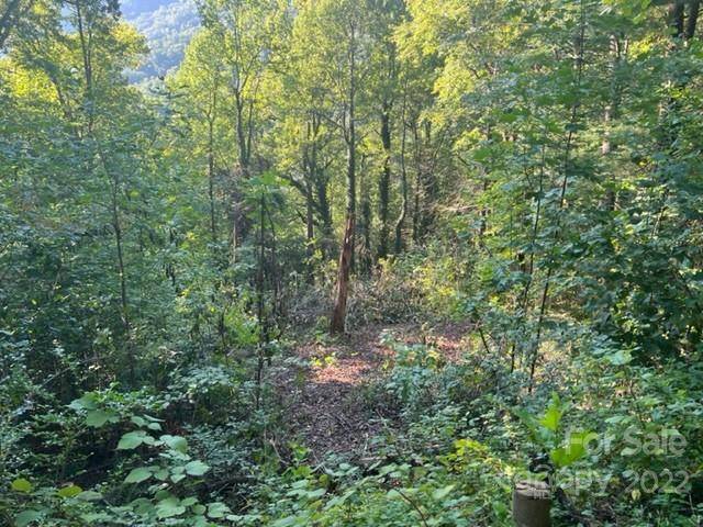 0000 Cascada Vista DR #2, Chimney Rock, NC 28720