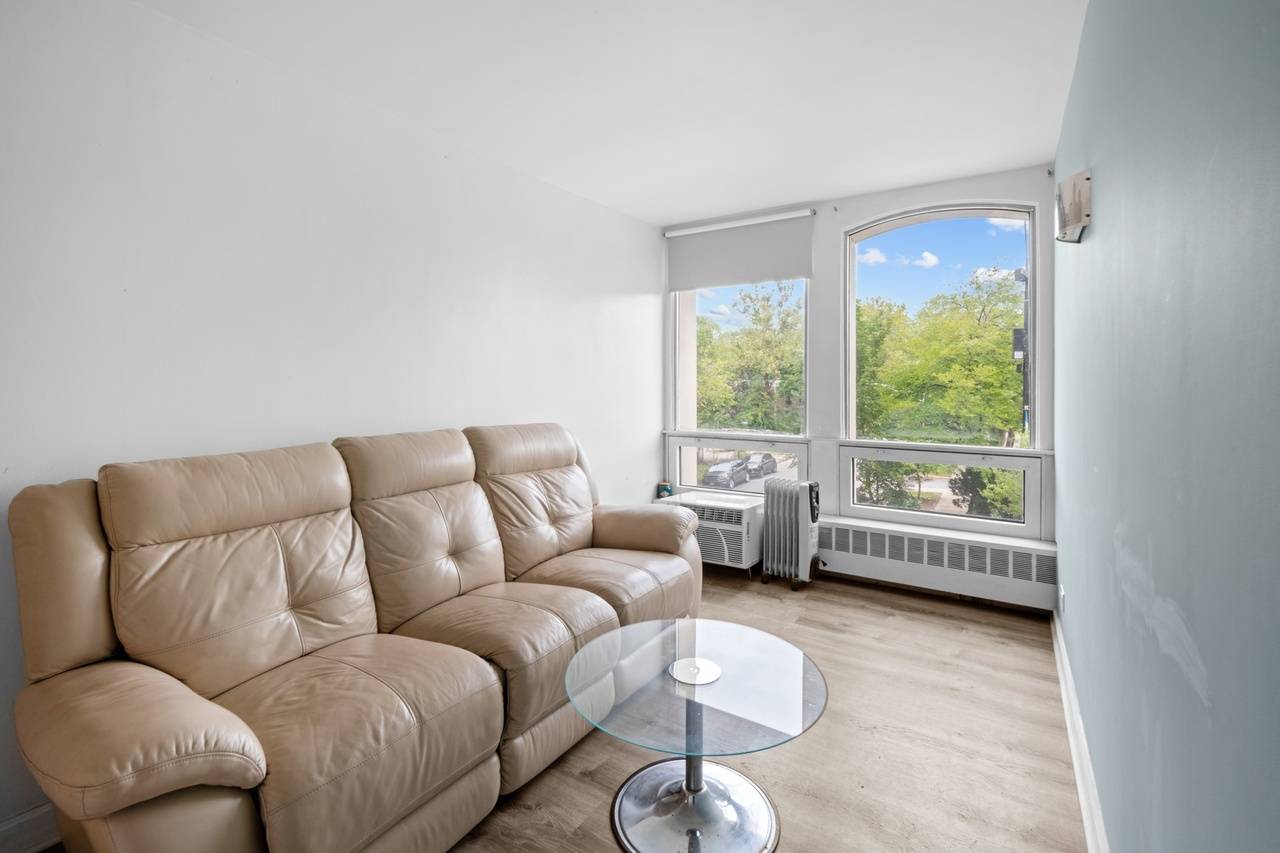 1451 E 55th ST #225N, Chicago, IL 60615