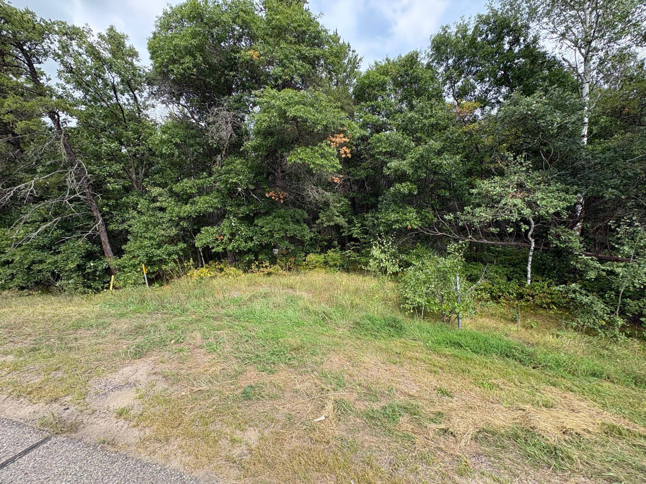 TBD State Hwy 371, Jenkins, MN 56456