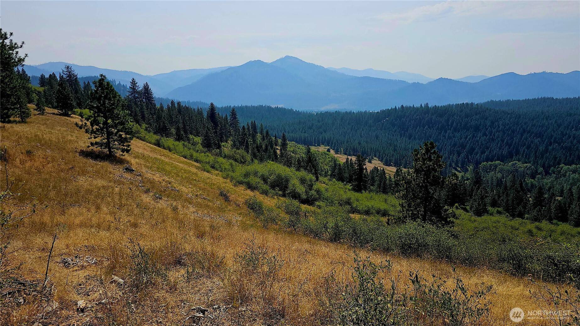 35 XX Addy Cedonia RD, Hunters, WA 99137