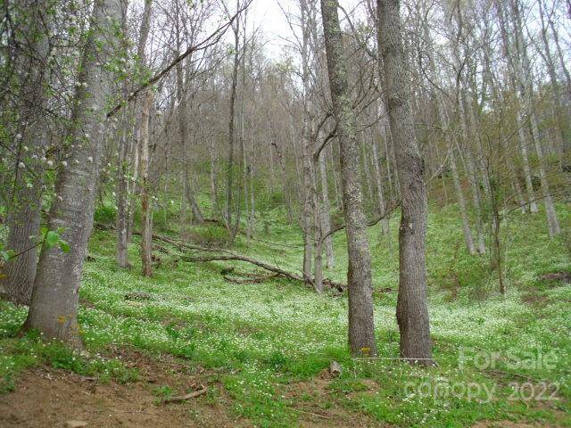 0 Lakewood DR #A, B, C, D, Bakersville, NC 28705