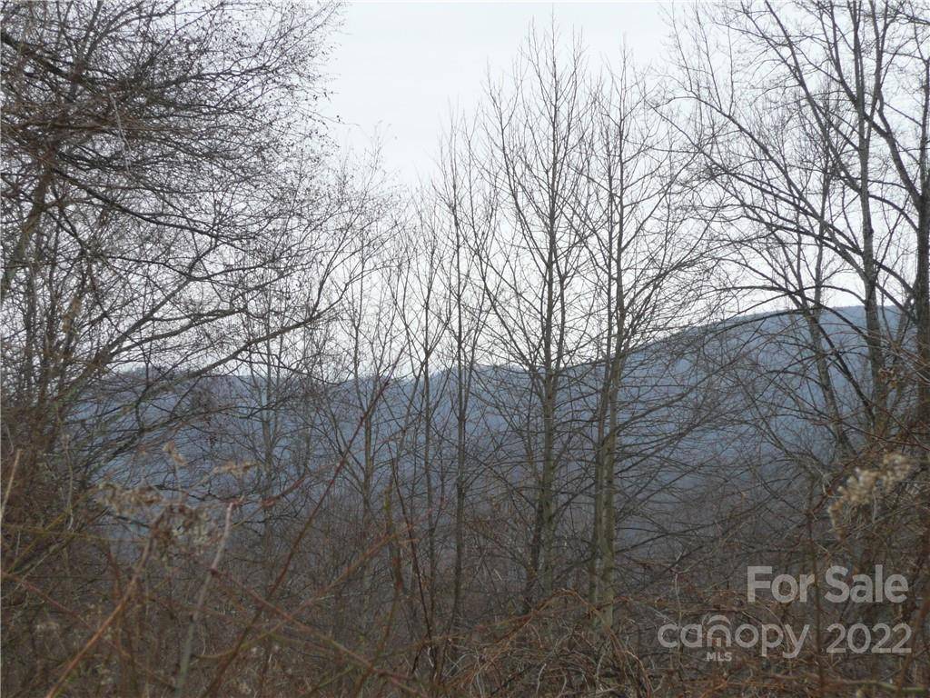 10 acres Sparkling Springs RD #1, Fairview, NC 28730