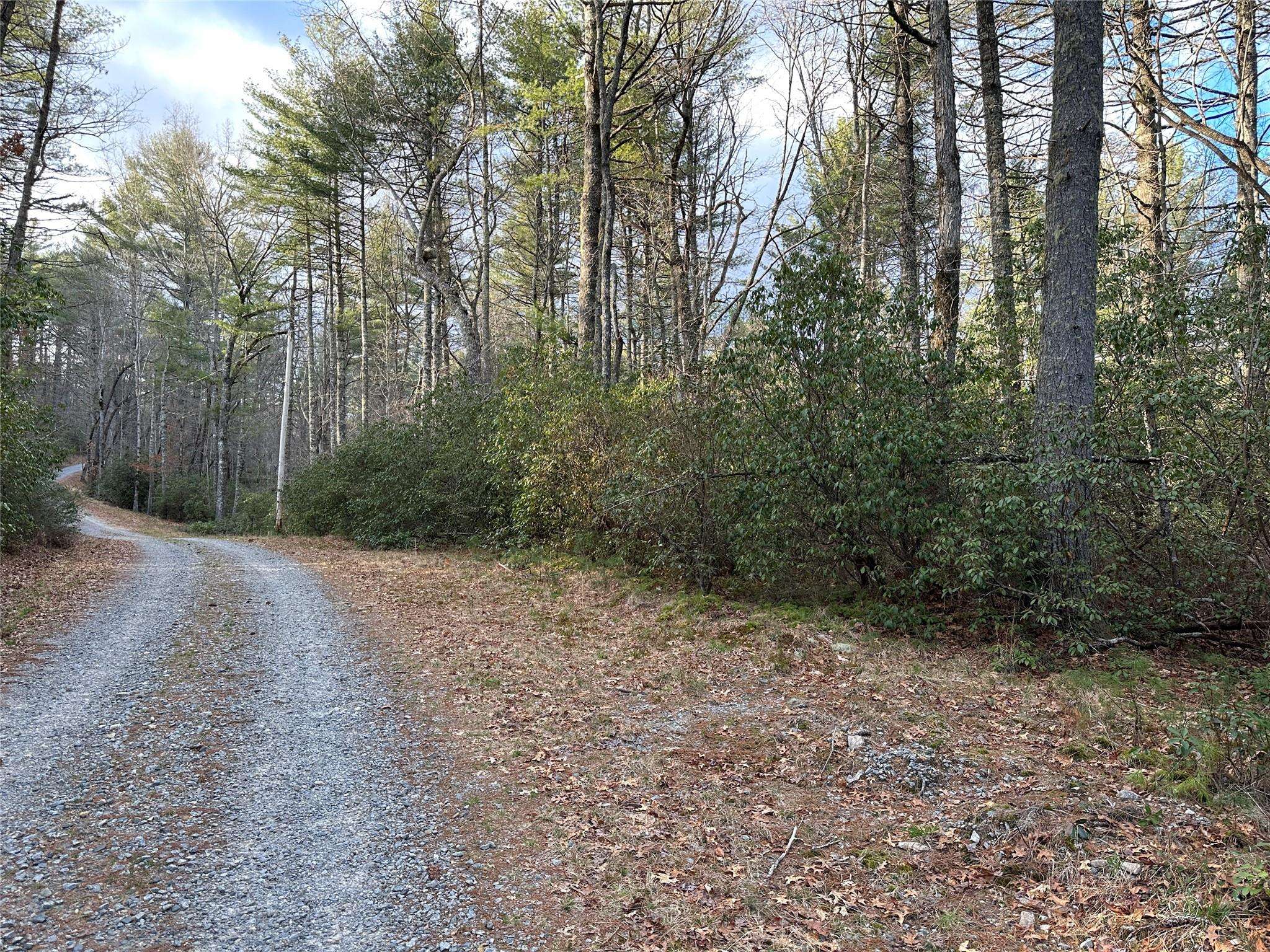 9999 Leamon DR, Cedar Mountain, NC 28718