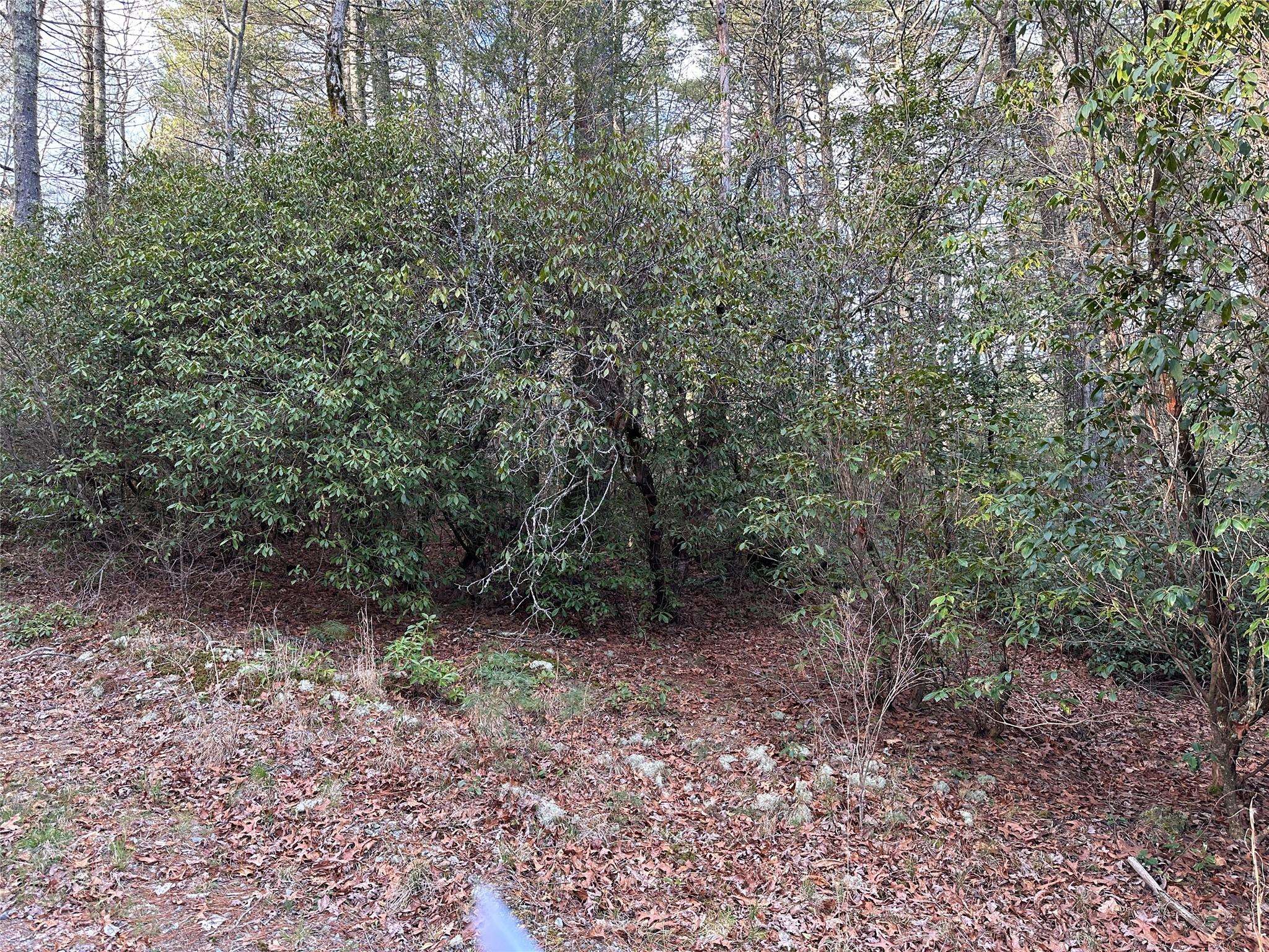 9999 Leamon DR, Cedar Mountain, NC 28718