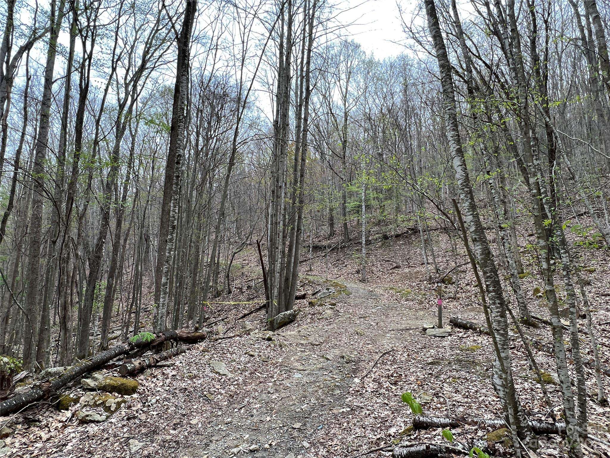 TBD Red Fox LN #Tract 3, Beech Mountain, NC 28604