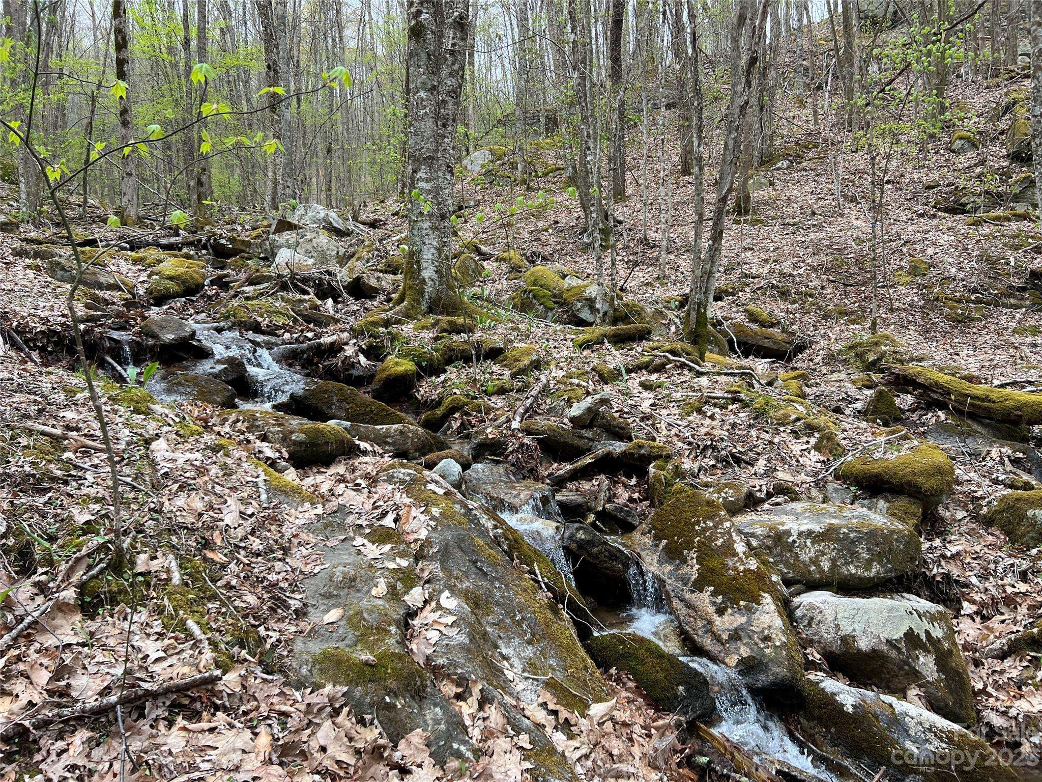 TBD Red Fox LN #Tract 3, Beech Mountain, NC 28604