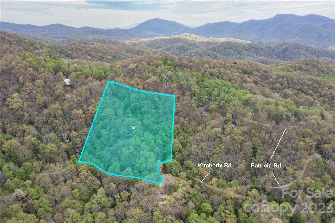 99999 Kimberly RD, Black Mountain, NC 28711