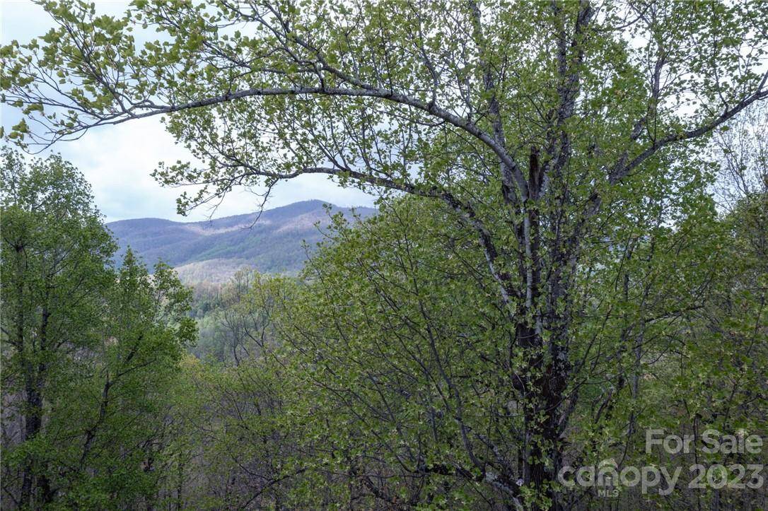 99999 Kimberly RD, Black Mountain, NC 28711