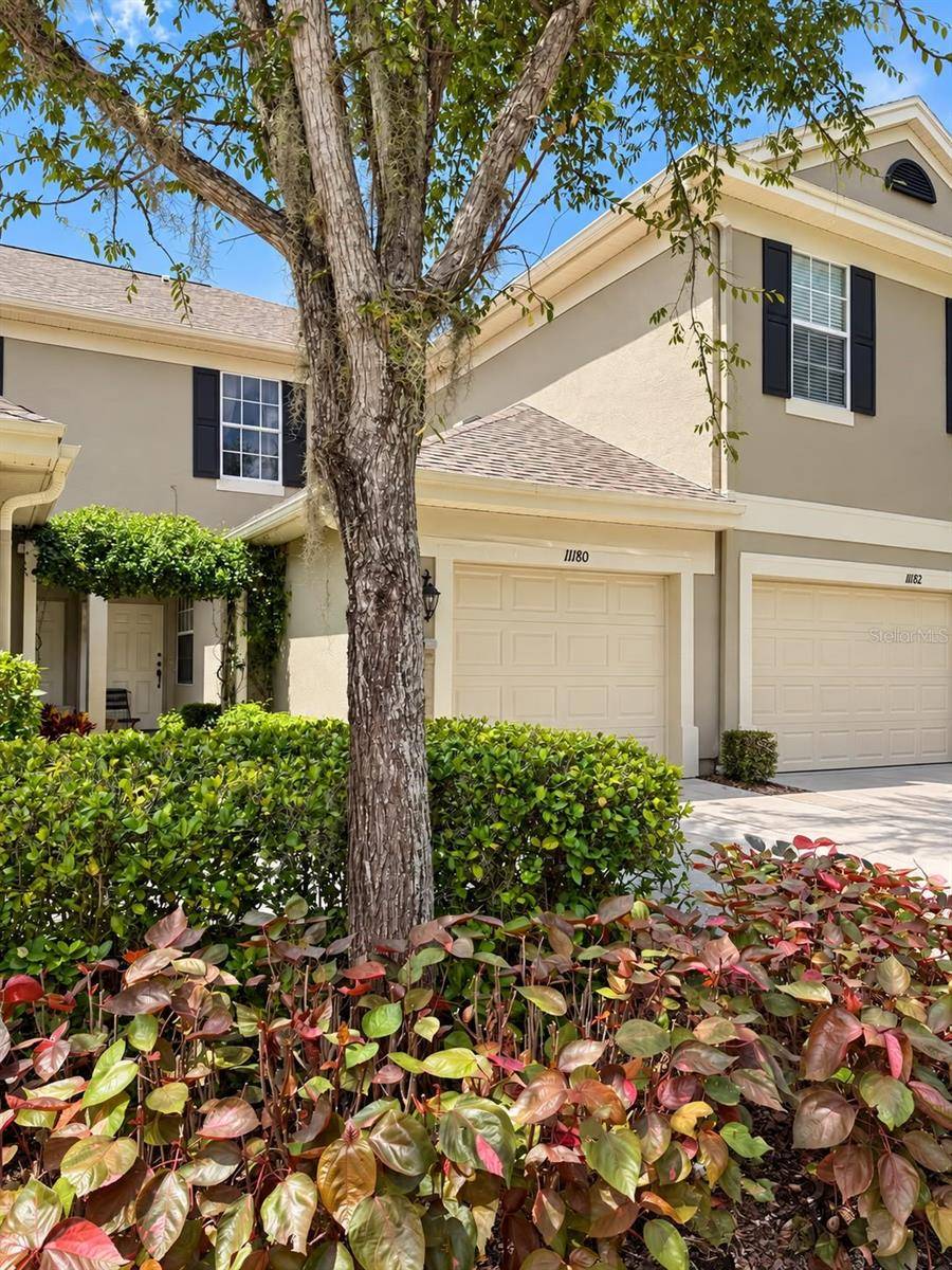 11180 WINDSOR PLACE CIR, Tampa, FL 33626