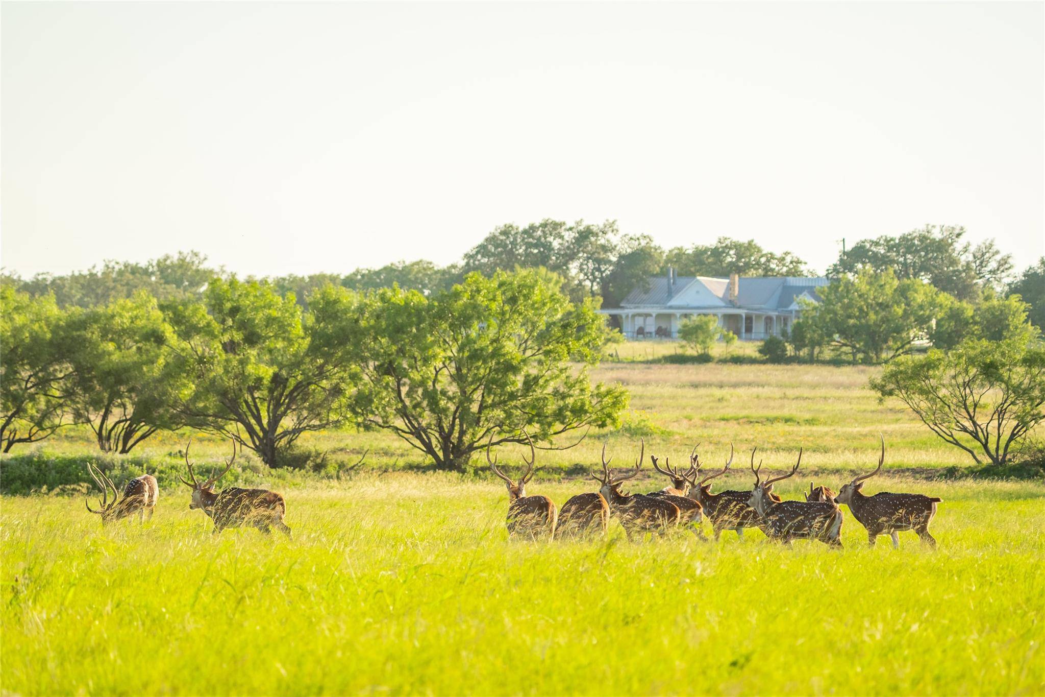 0 County Road 476 RD, Brady, TX 76872