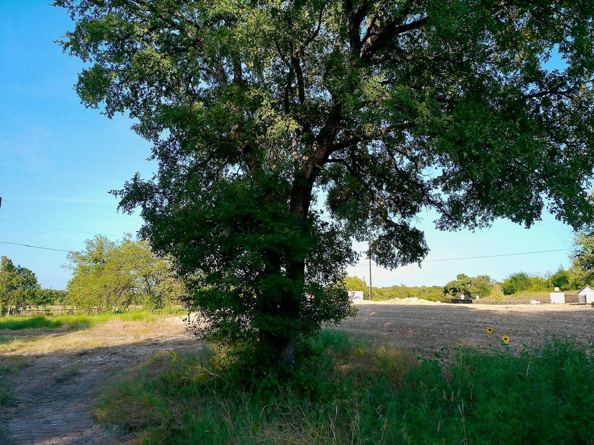 100 Serenity DR, Liberty Hill, TX 78642