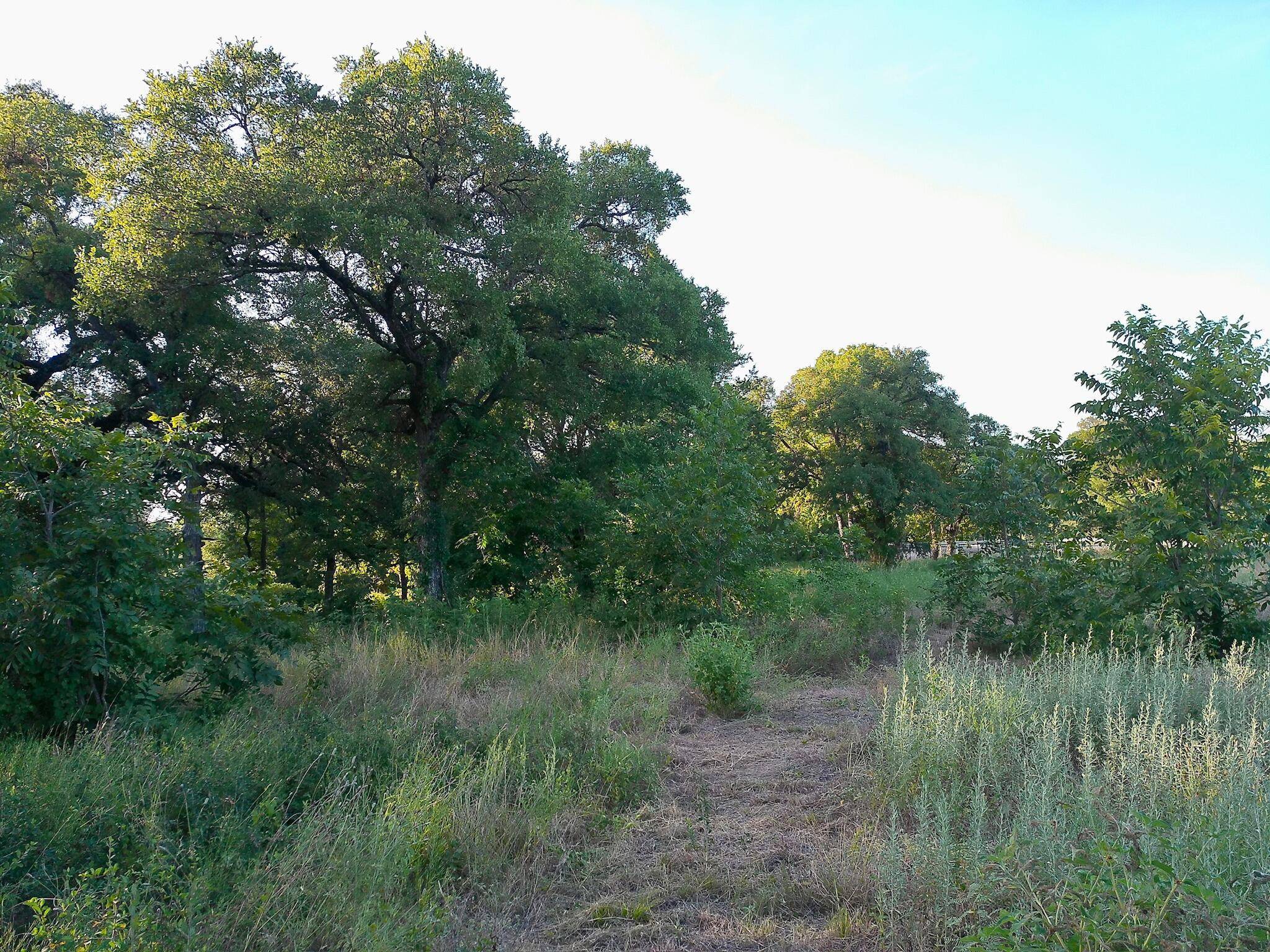 100 Serenity DR, Liberty Hill, TX 78642