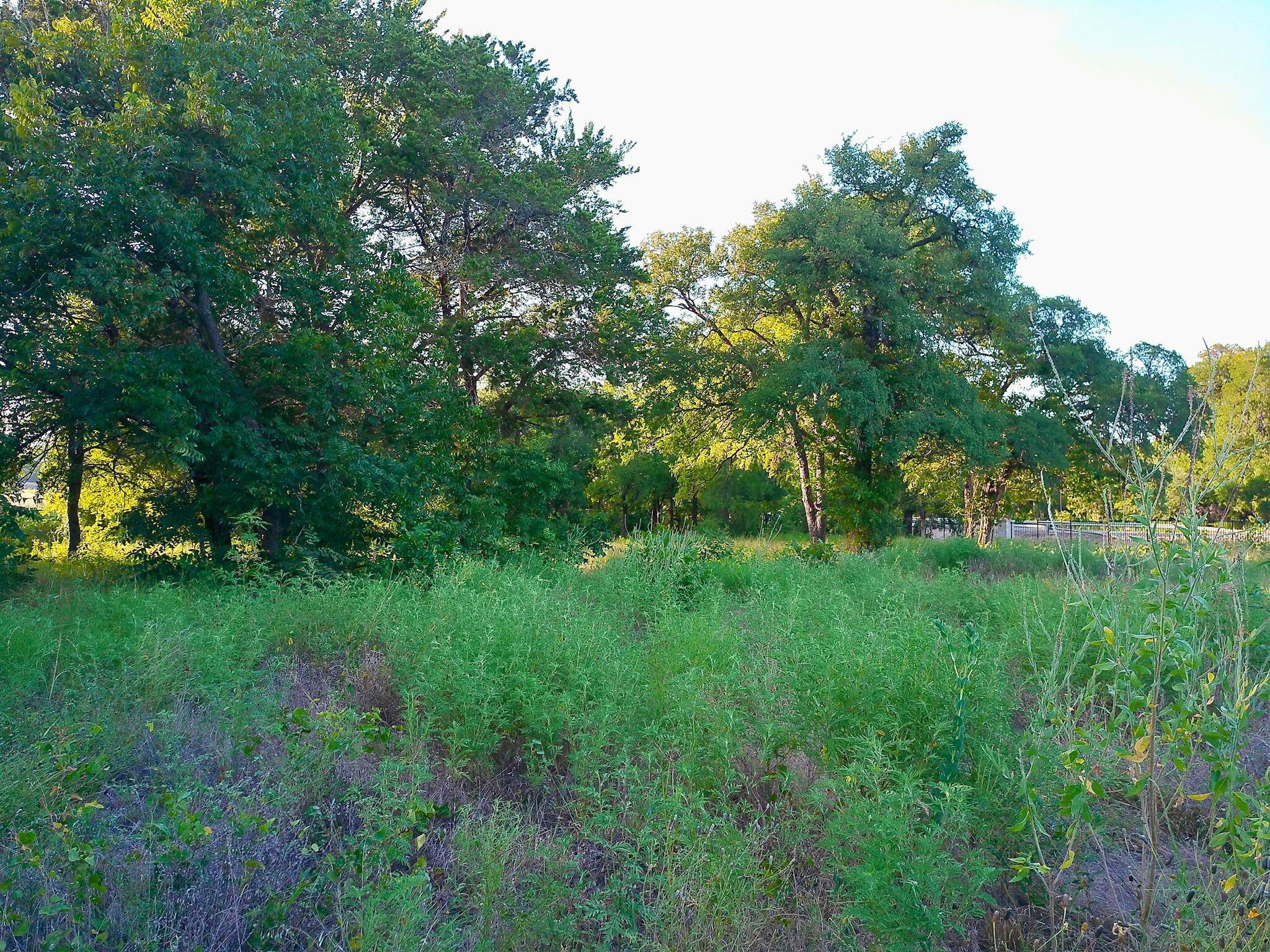 100 Serenity DR, Liberty Hill, TX 78642