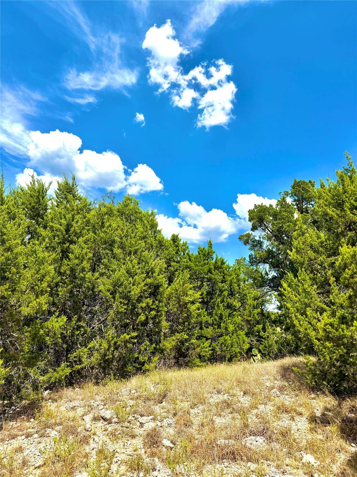 886 Mimosa CT, Fischer, TX 78623