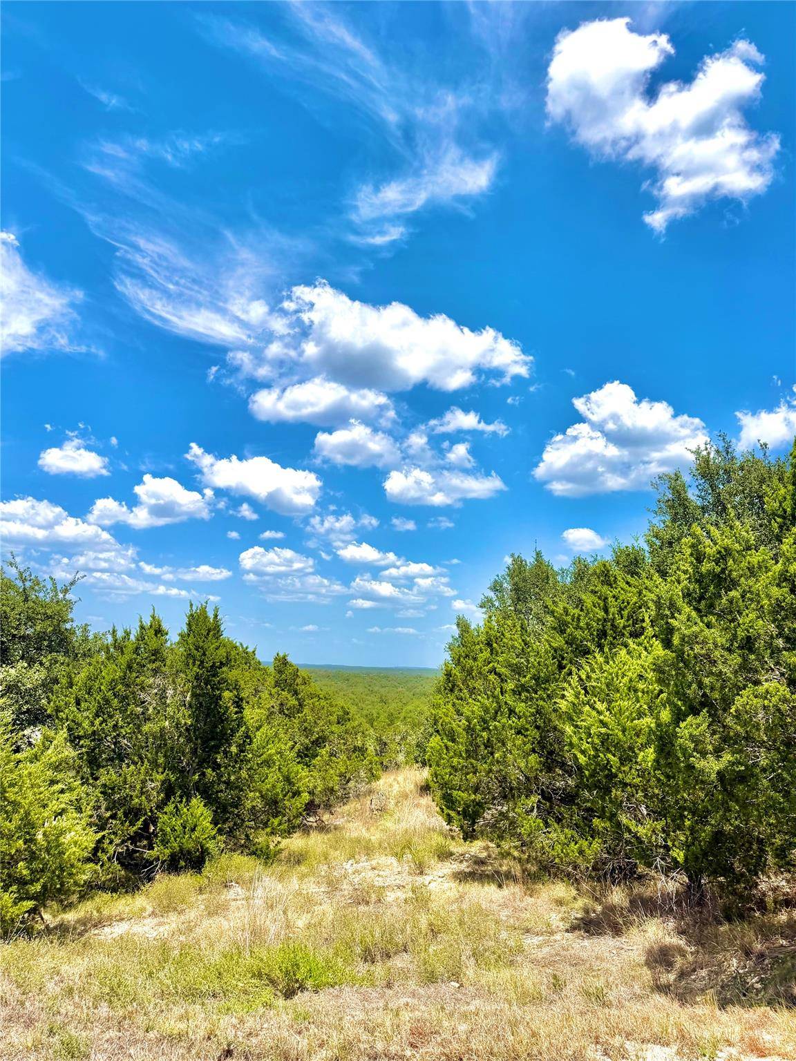 886 Mimosa CT, Fischer, TX 78623
