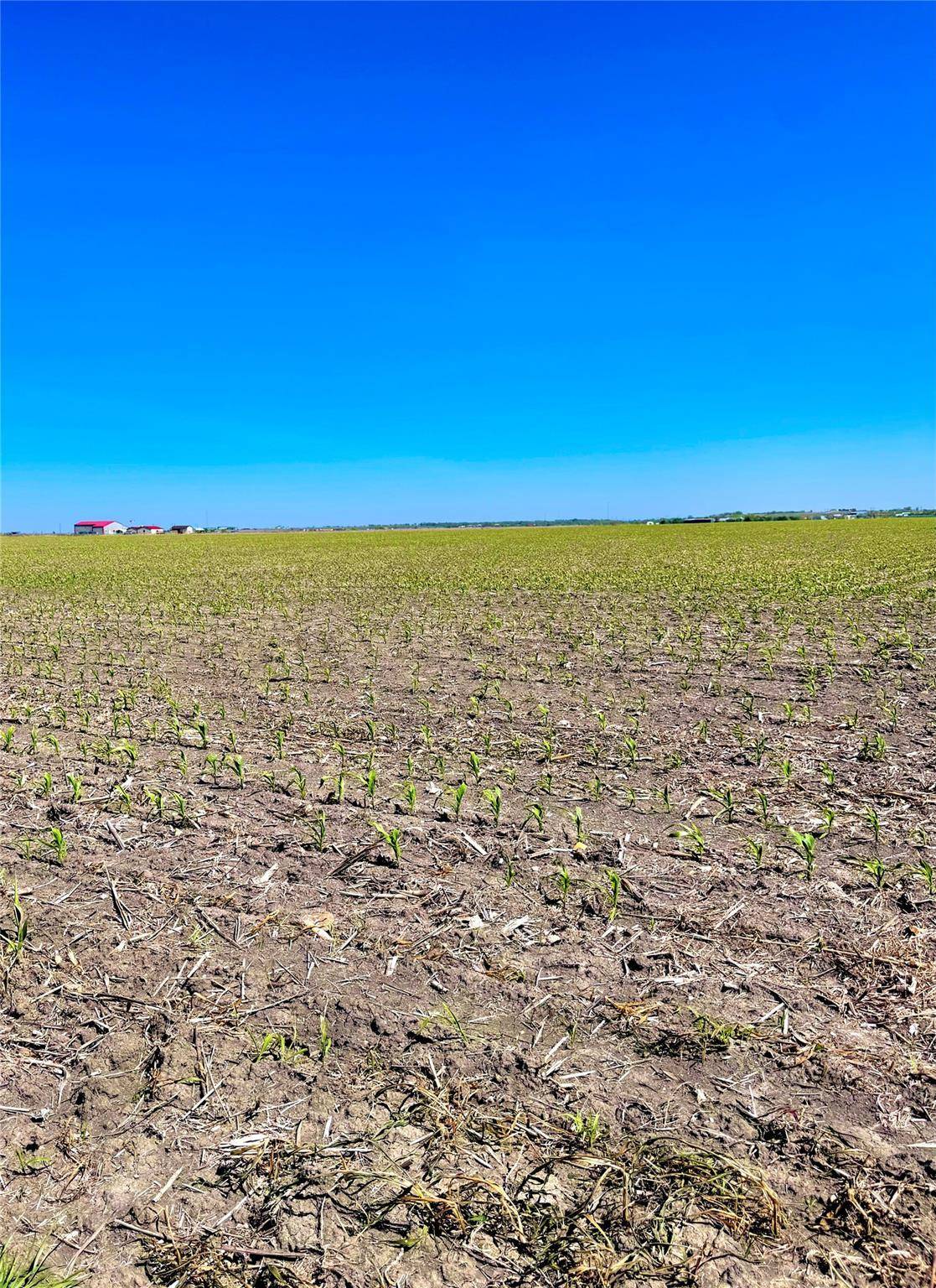 TBD Tract 4 Lund Carlson RD, Coupland, TX 78615