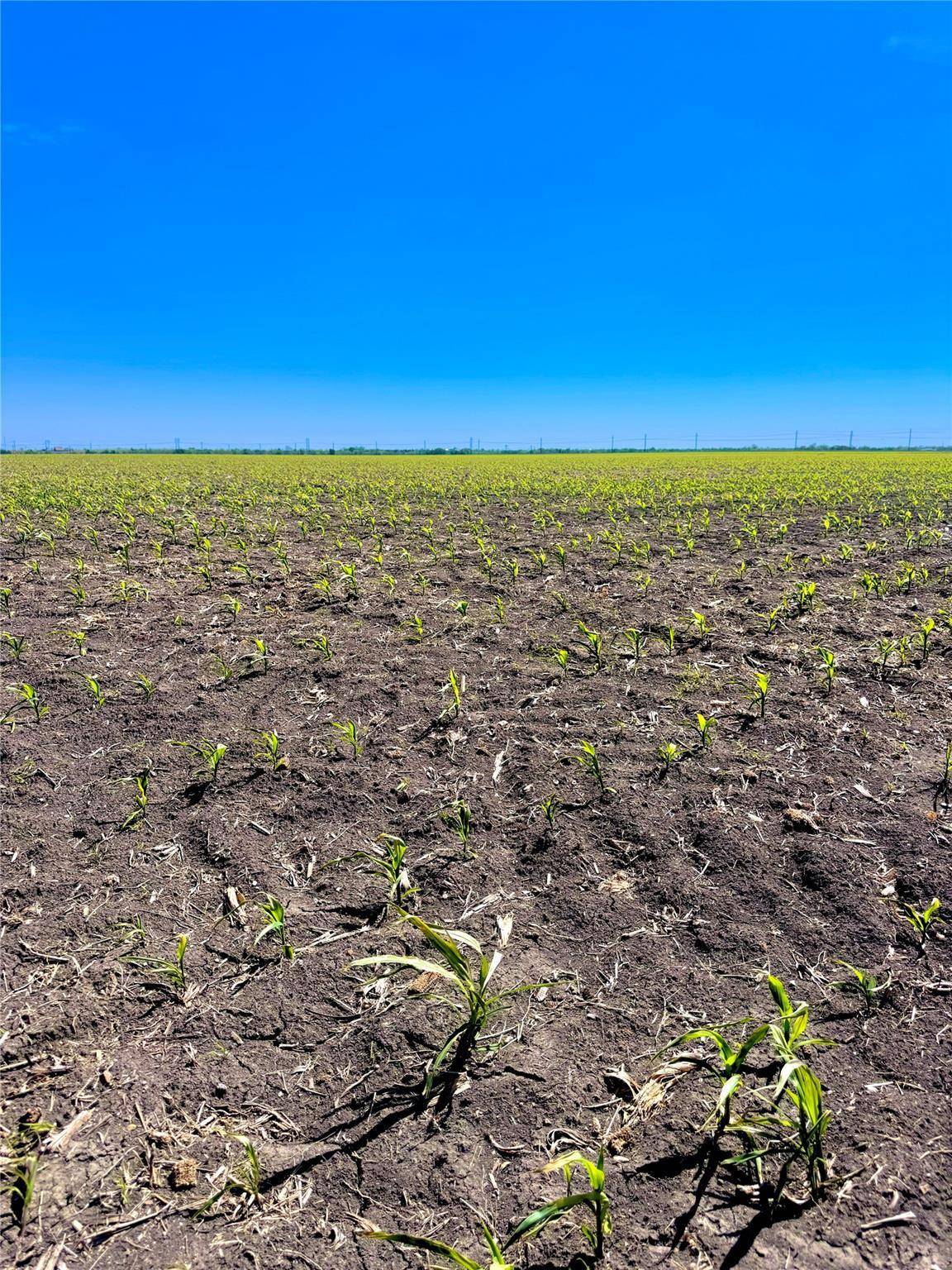 TBD Tract 4 Lund Carlson RD, Coupland, TX 78615
