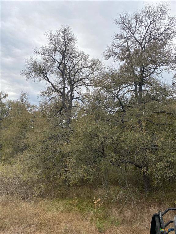 TBD County Road 405, Buckholts, TX 76518