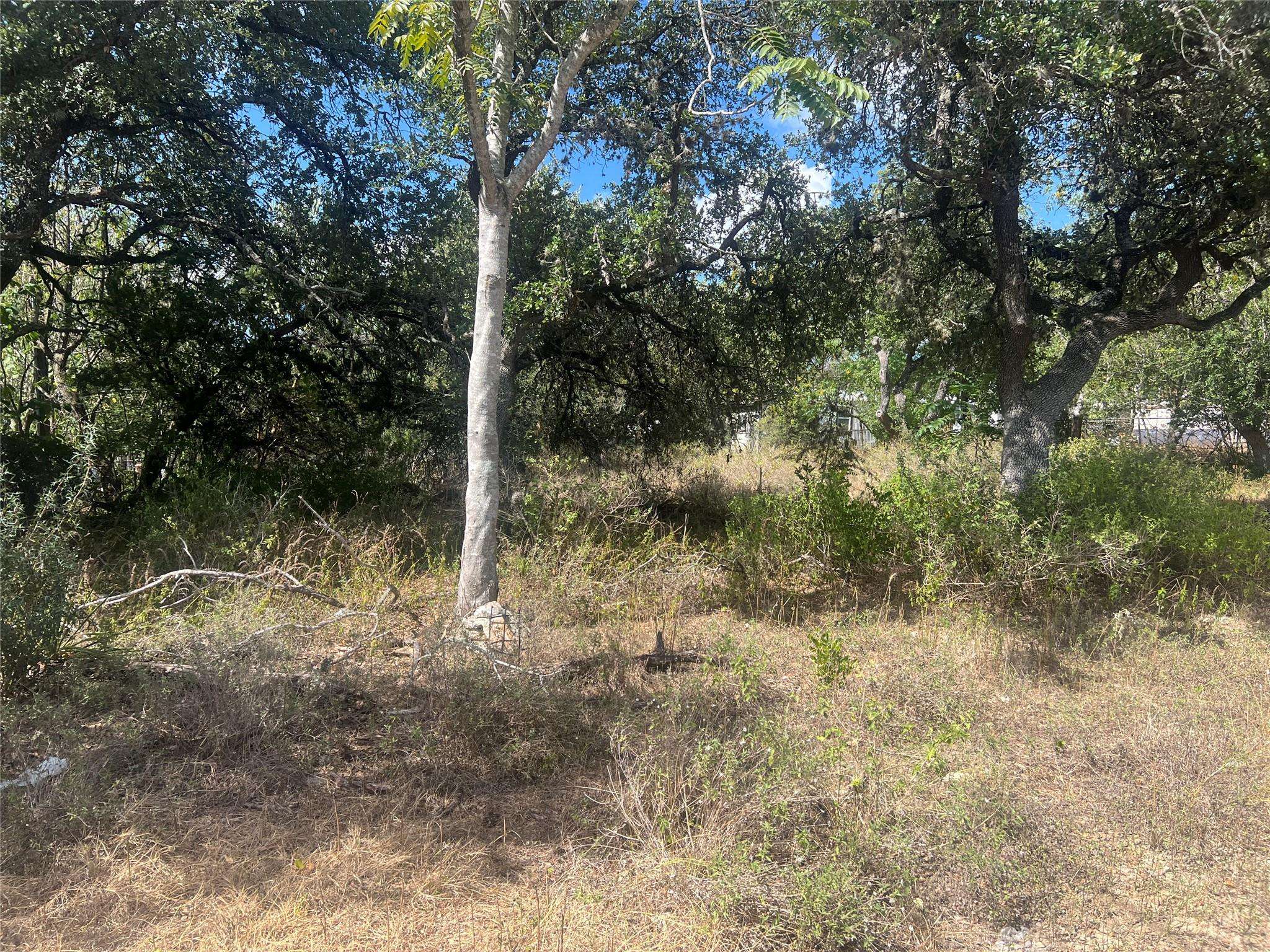 542 Flintstone DR, Canyon Lake, TX 78133