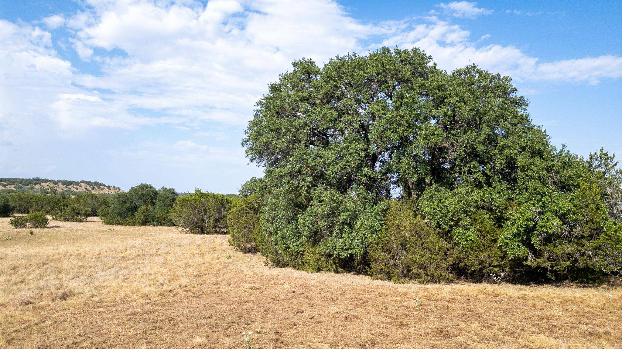 0 County Road 2659, Lometa, TX 76853