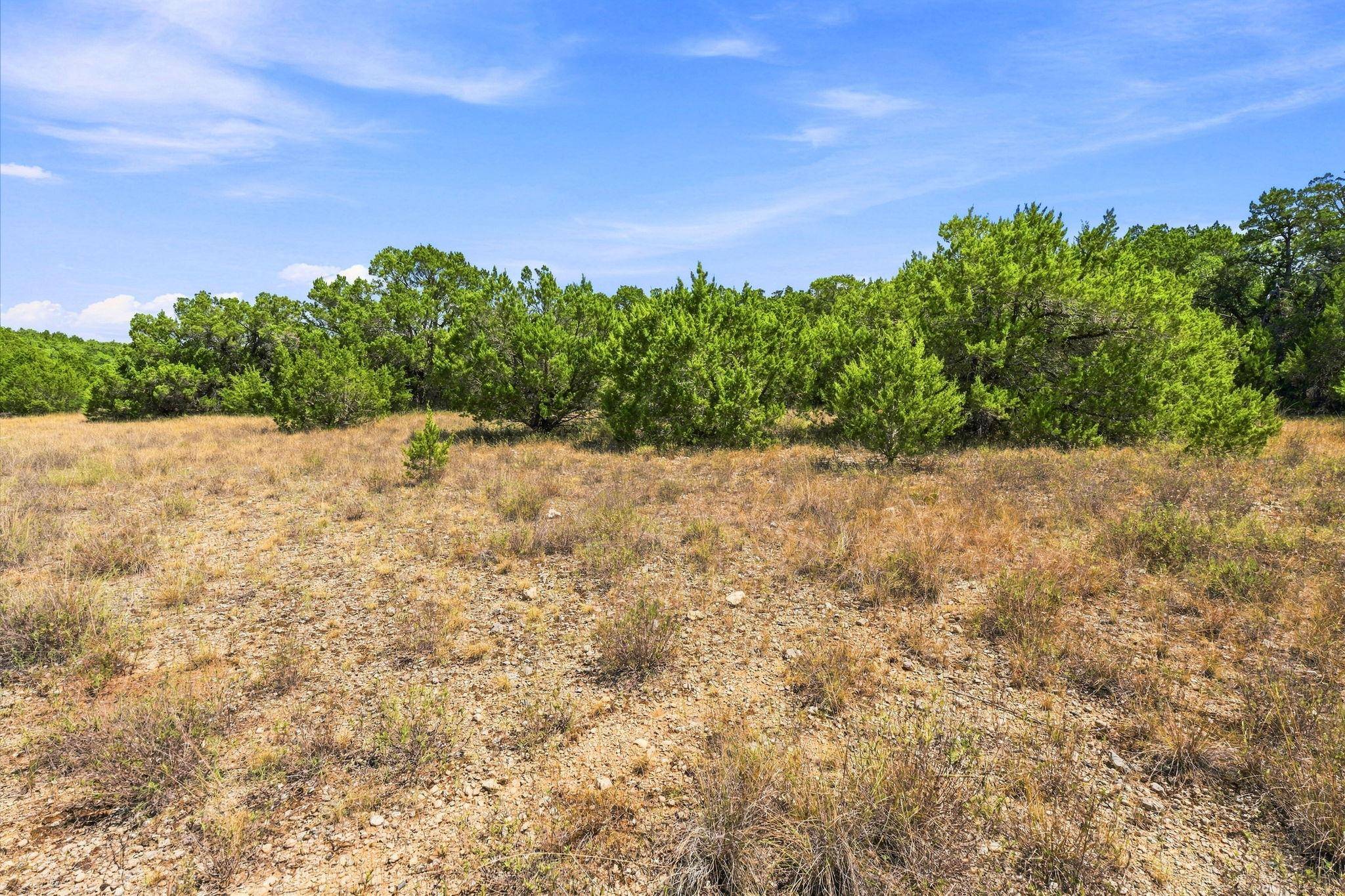 TBD Tract 1 & 2 (22.5 Ac) Lipan RUN, Fischer, TX 78623