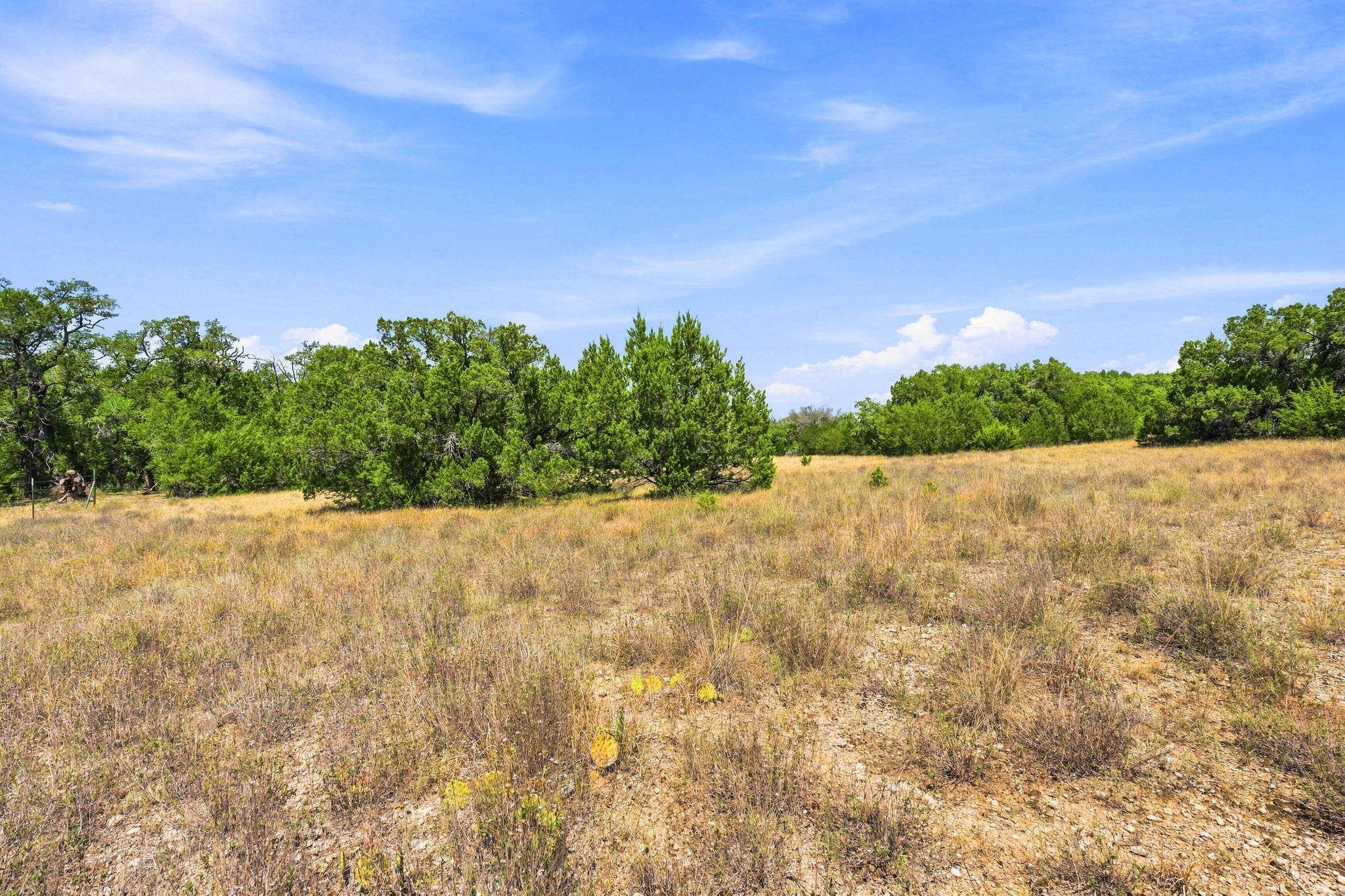 TBD Tract 1 & 2 (22.5 Ac) Lipan RUN, Fischer, TX 78623