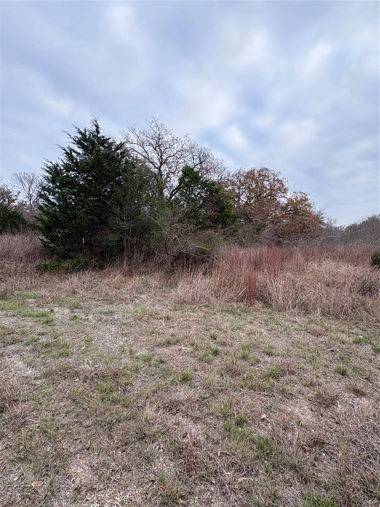 TBD James Craft Road James Craft RD, Somerville, TX 77879