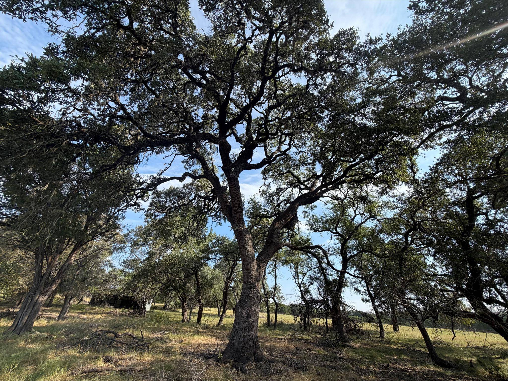 1911 Wayside DR, Wimberley, TX 78676