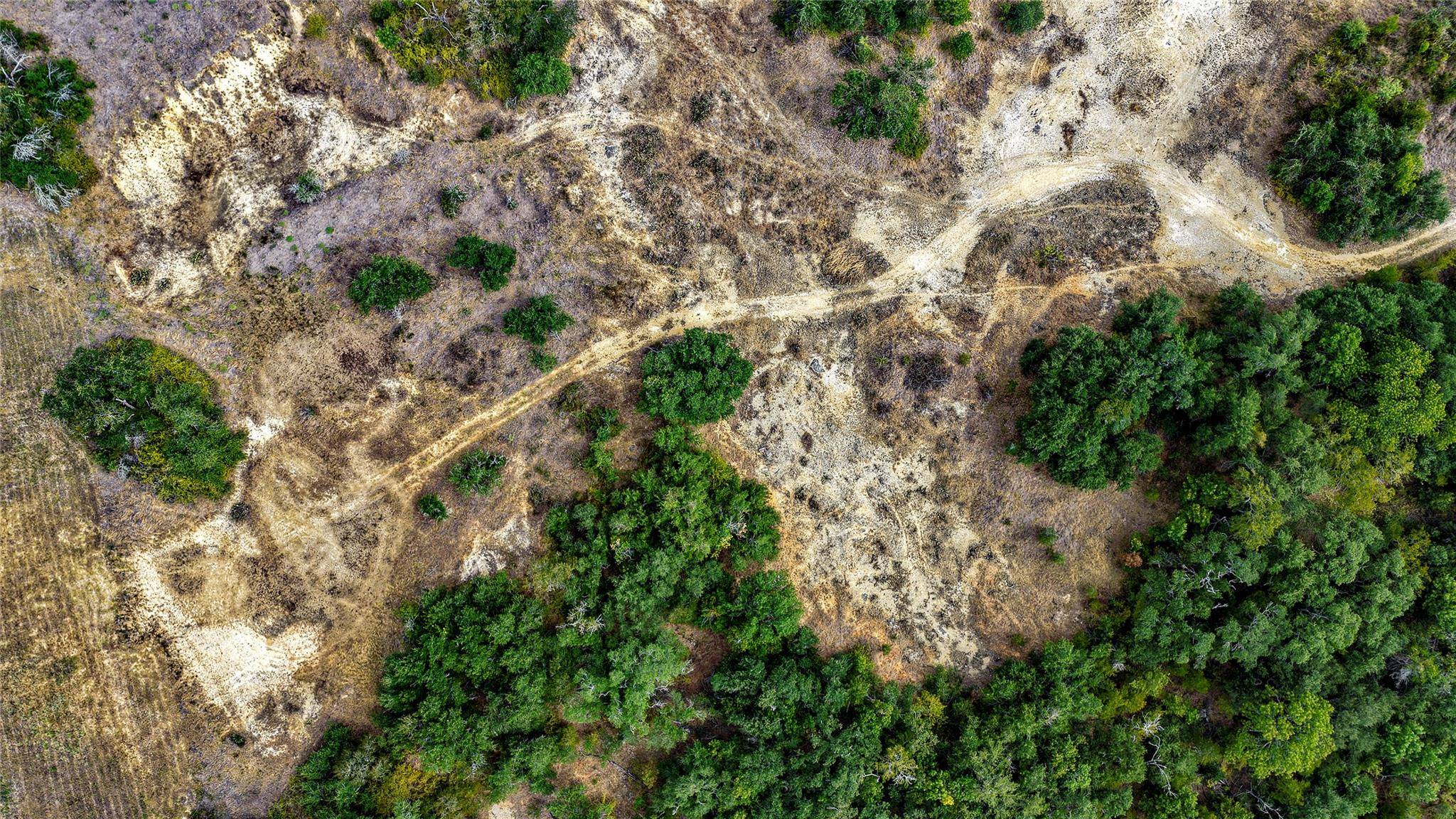 TBD CR 405, Buckholts, TX 76518
