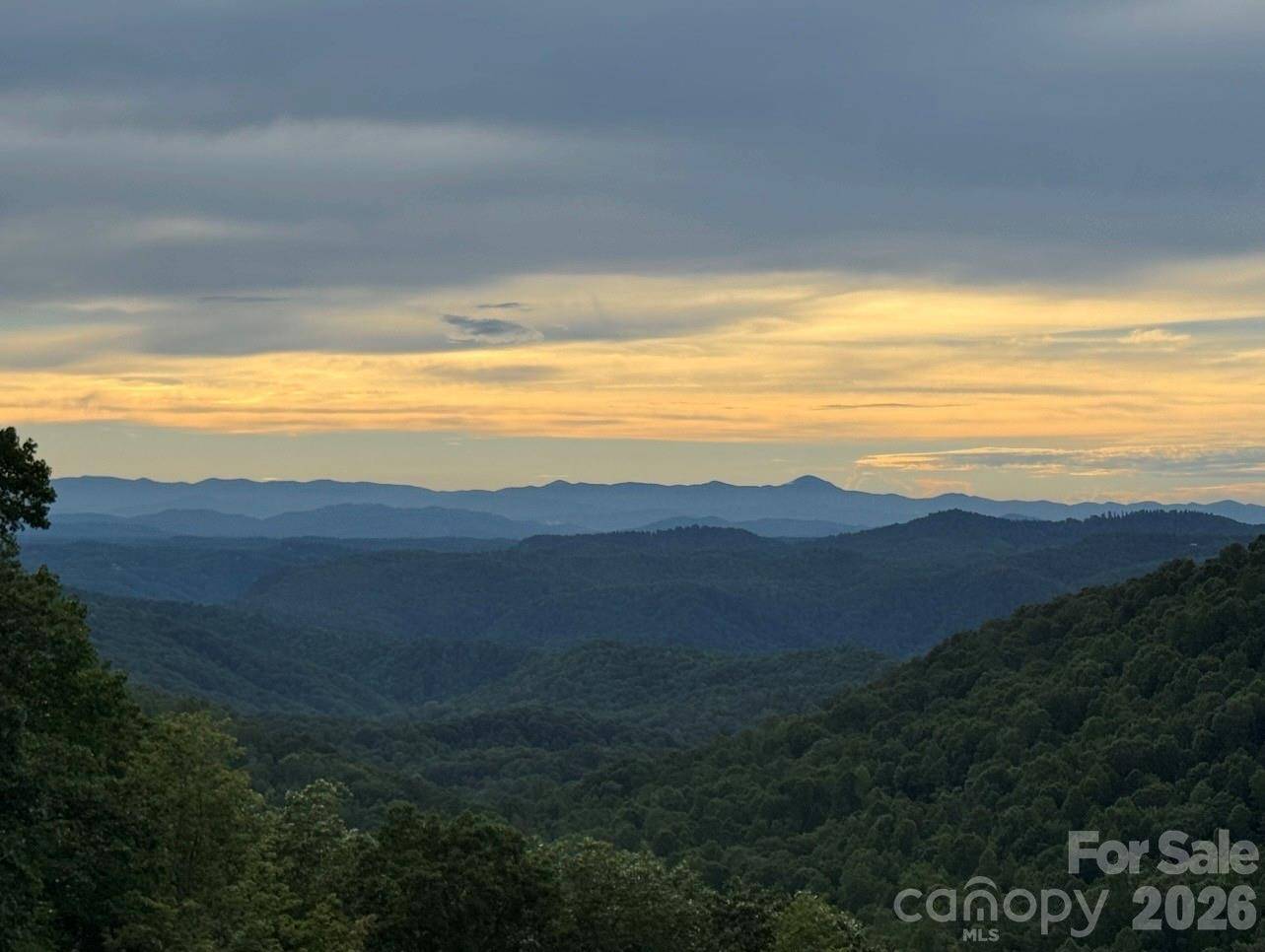 2107 Miller Mountain RD, Saluda, NC 28773