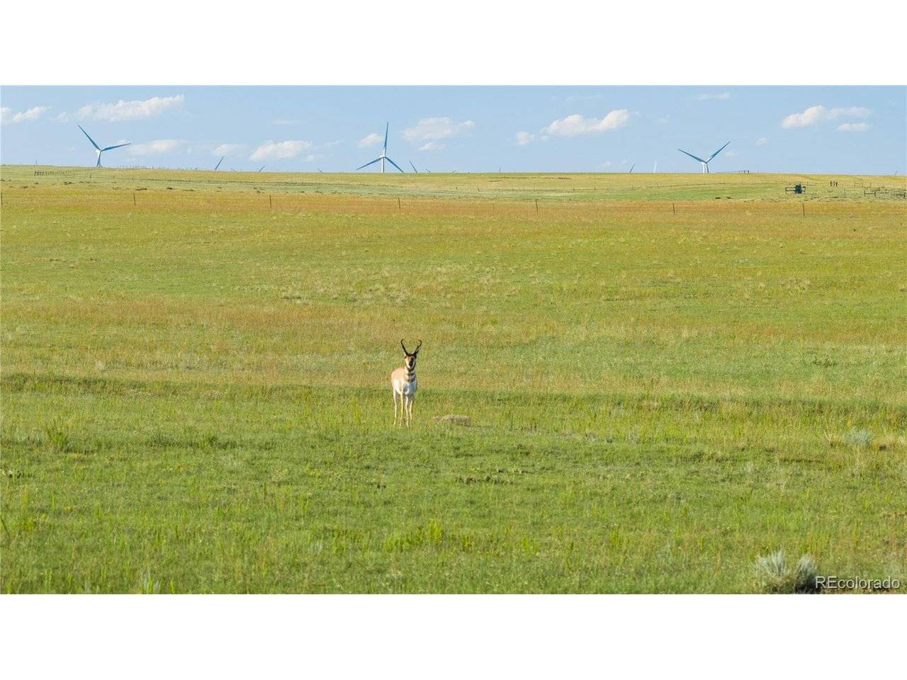 6555 N Yoder, Calhan, CO 80808