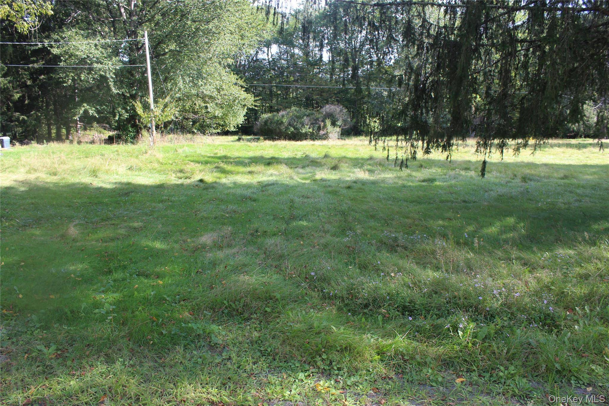 51 Wegman RD, Livingston Manor, NY 12758