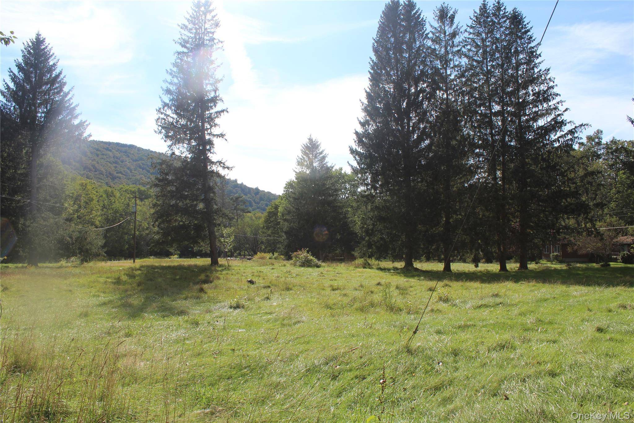 51 Wegman RD, Livingston Manor, NY 12758