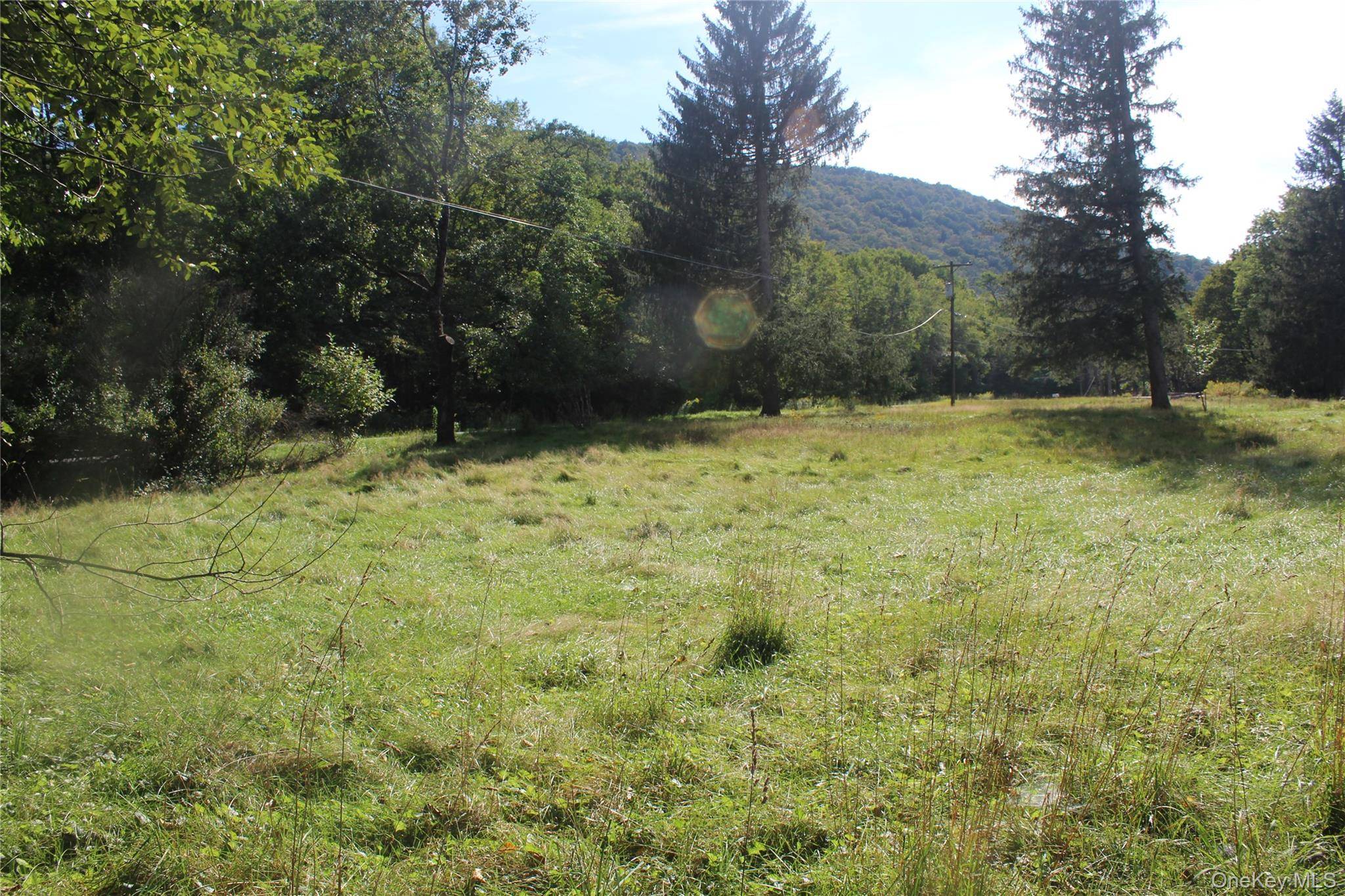 51 Wegman RD, Livingston Manor, NY 12758
