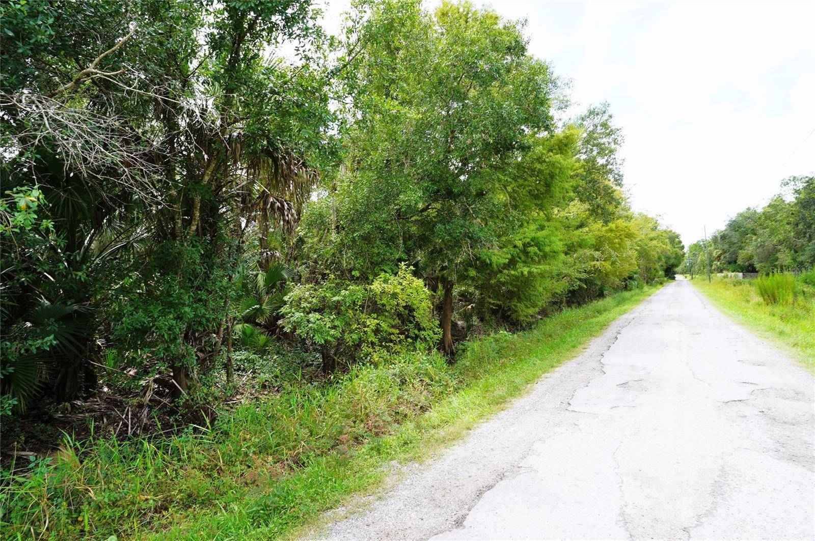 2047 SW NASSAU AVE, Arcadia, FL 34266